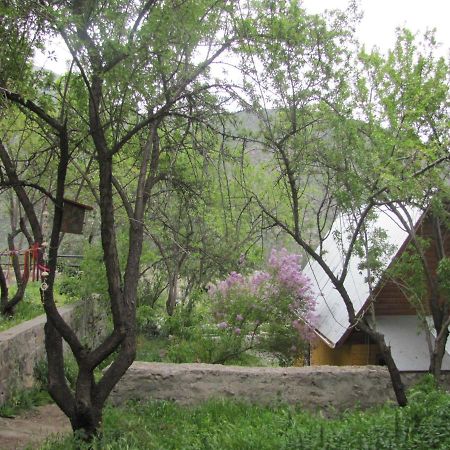 Refugio Coyoacan Villa Guayacan  Buitenkant foto