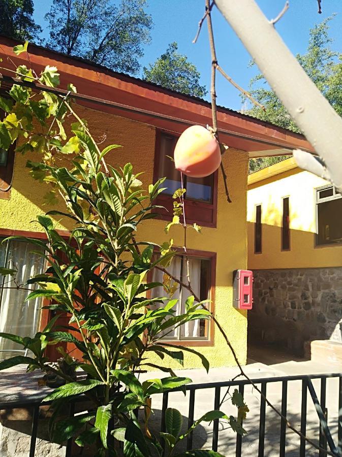 Refugio Coyoacan Villa Guayacan  Buitenkant foto